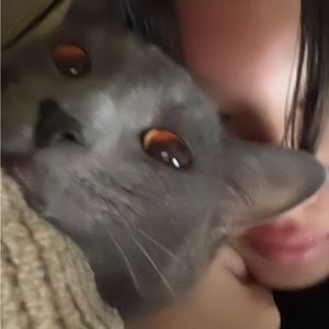 Meet your Posher, Tiffney